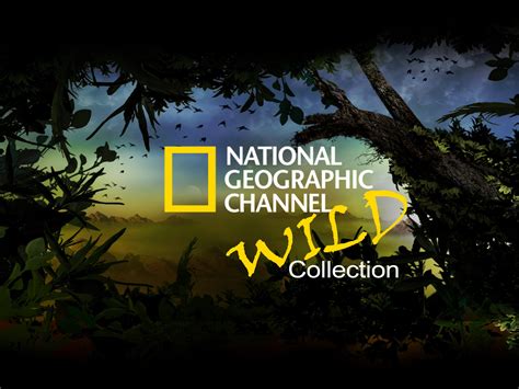 national geographic which chanel on bellmts|national geographic channel locations.